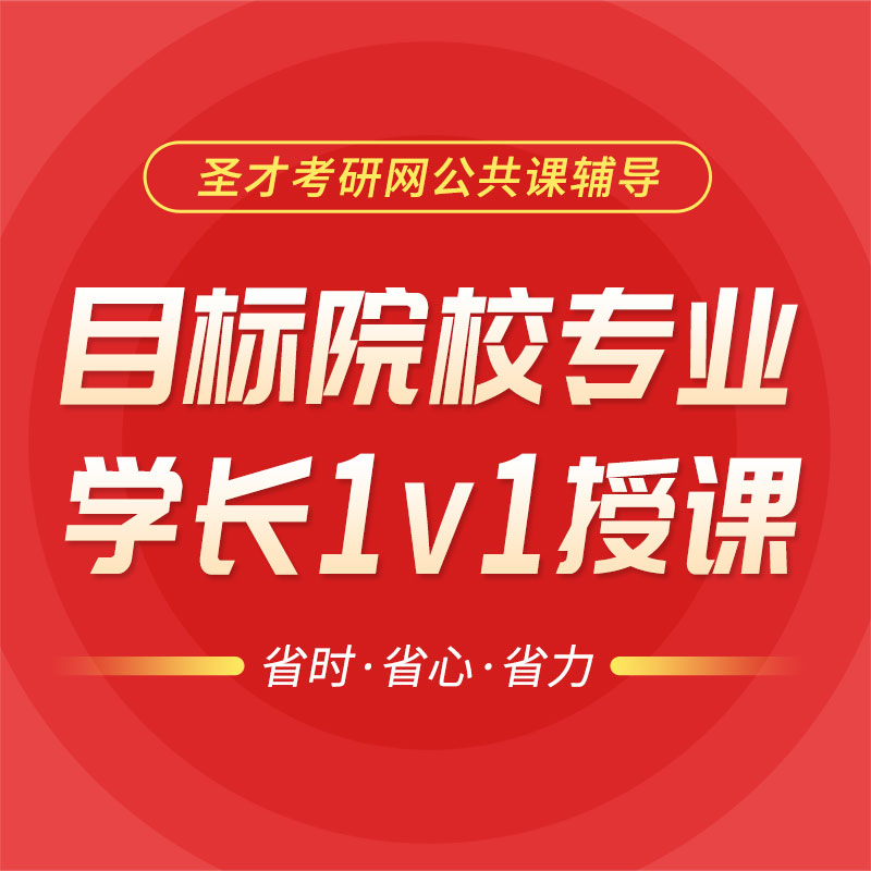考研英语二学长一对一定制辅导（20课时） 